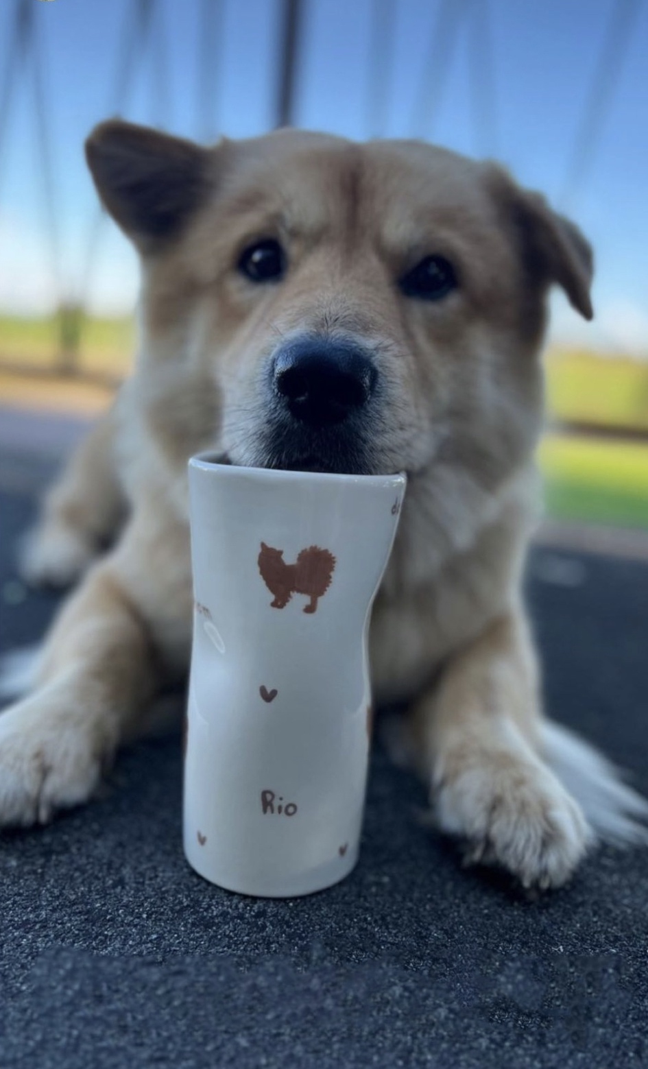 Mug - Silhouettes chiens – Image 28